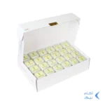 تبدیل برق 3 به 2 هادرون مدل A10-1 - لیمویی (بسته 24 عددی)